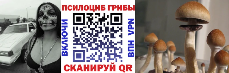 Псилоцибиновые грибы Magic Shrooms  Южноуральск 